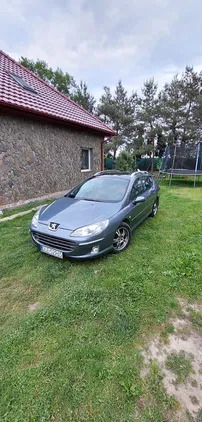 dolnośląskie Peugeot 407 cena 10900 przebieg: 294500, rok produkcji 2005 z Izbica Kujawska